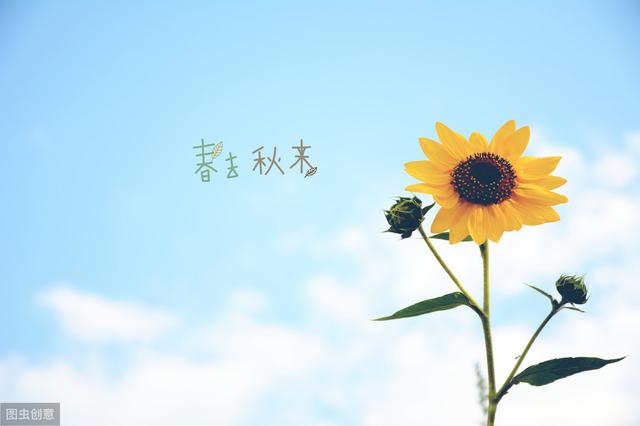很伤感的句子 愿她 很伤感的句子 愿她