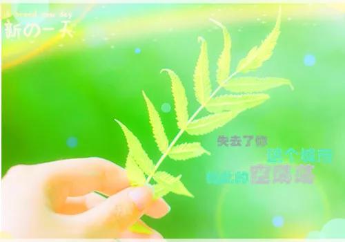伤心句子大全图片 伤心句子大全图片