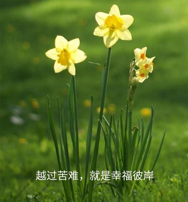 检查得病后伤心句子 检查得病后伤心句子