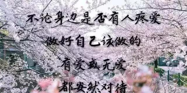 伤感感悟人生的句子 伤感感悟人生的句子