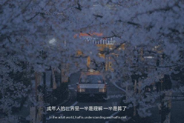 被男人辜负伤心句子