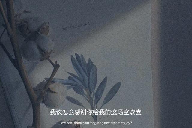 被男人辜负伤心句子