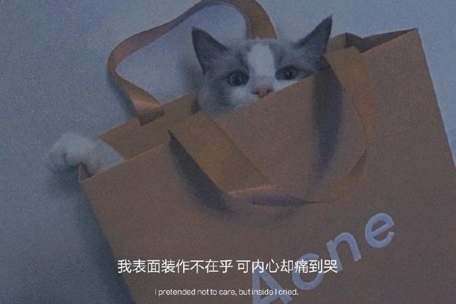 被男人辜负伤心句子