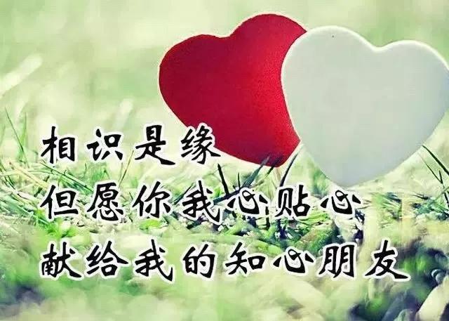 爱一个人的伤心句子 爱一个人的伤心句子