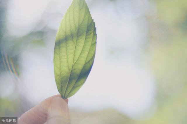 分手的伤心句子图片 分手的伤心句子图片