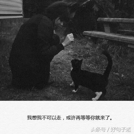 伤心的句子 句句刺心短句 伤心的句子 句句刺心短句