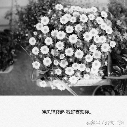 伤心的句子 句句刺心短句 伤心的句子 句句刺心短句