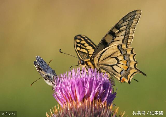 伤心心碎的句子唯美 伤心心碎的句子唯美