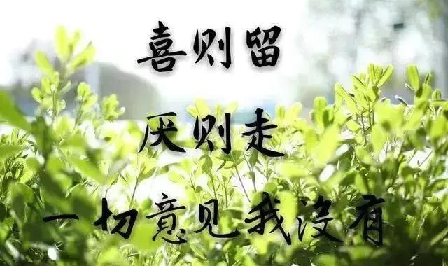 感情伤心句子说说心情 感情伤心句子说说心情