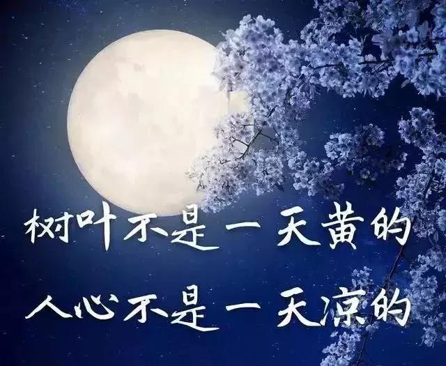 感情伤心句子说说心情 感情伤心句子说说心情