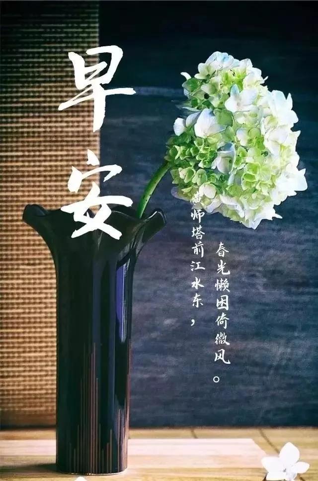 「2021.06.15」早安心语,正能量阳光语录句子,创意早上好问候语