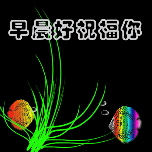 「2021.06.15」早安心语,正能量阳光语录句子,创意早上好问候语