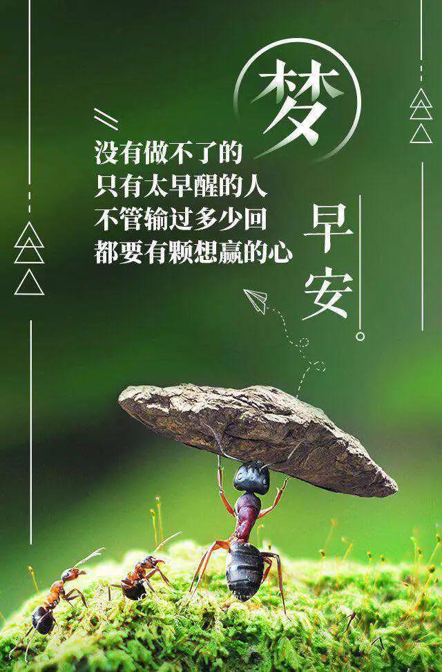 「2021.06.15」早安心语,正能量阳光语录句子,创意早上好问候语