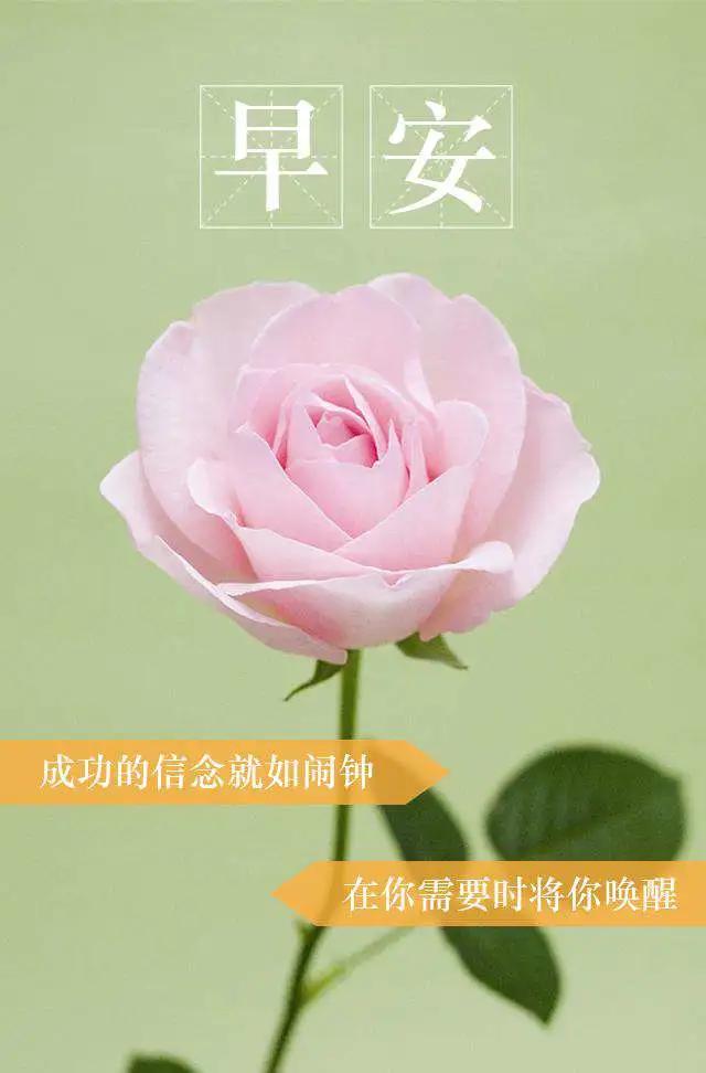 「2021.06.15」早安心语,正能量阳光语录句子,创意早上好问候语