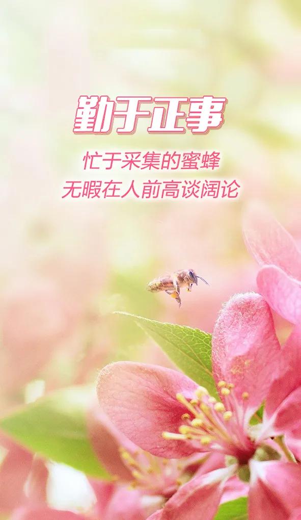 「2021.06.15」早安心语,正能量阳光语录句子,创意早上好问候语