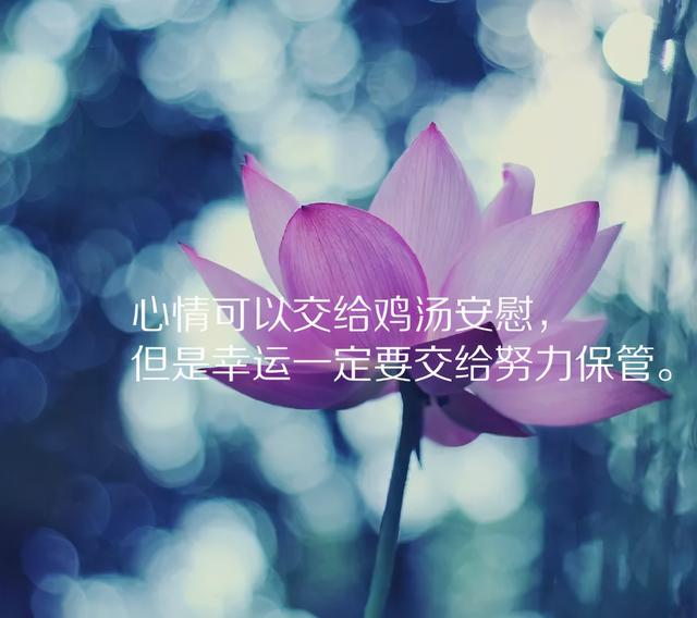 「2021.06.15」早安心语,正能量阳光语录句子,创意早上好问候语