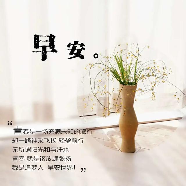 「2021.06.15」早安心语,正能量阳光语录句子,创意早上好问候语