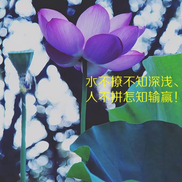 「2021.06.15」早安心语,正能量阳光语录句子,创意早上好问候语