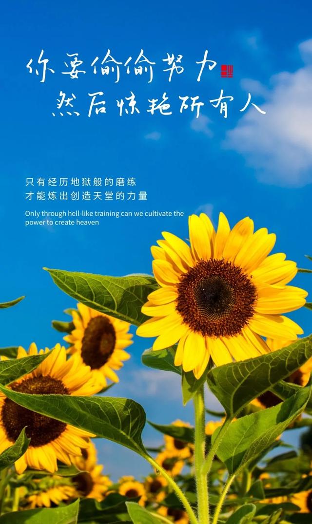 「2021.06.15」早安心语,正能量阳光语录句子,创意早上好问候语