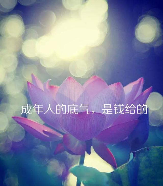 「2021.06.15」早安心语,正能量阳光语录句子,创意早上好问候语
