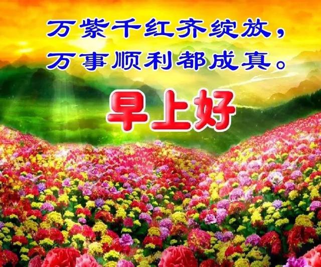 「2021.06.15」早安心语,正能量阳光语录句子,创意早上好问候语
