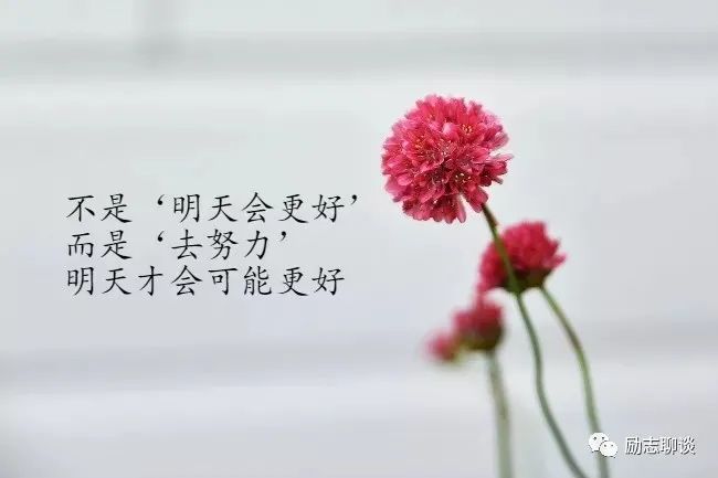 劝勉他人不要回头的励志句子激励你向前看的励志说说-句子橘 劝勉他人不要回头的励志句子激励你向前看的励志说说-句子橘