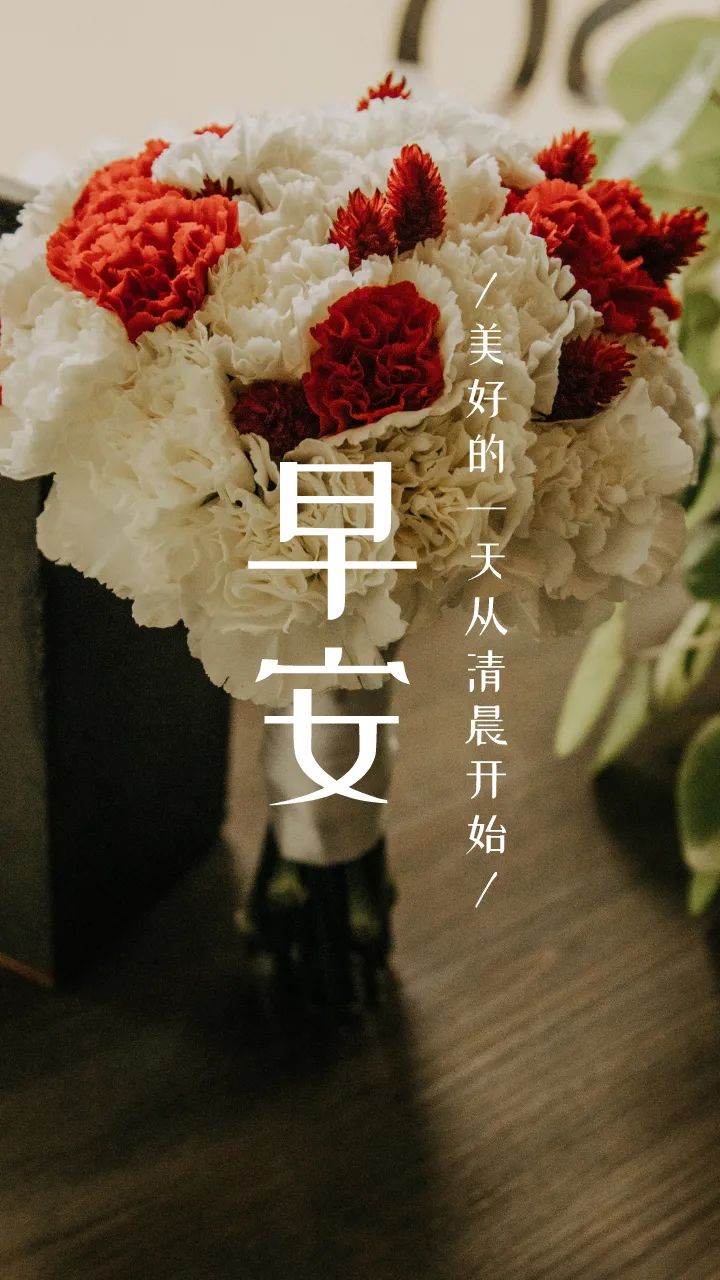 早安晚安语录图片句子 早安语录晚安朋友圈励志语录图片-句子橘 早安晚安语录图片句子 早安语录晚安朋友圈励志语录图片-句子橘