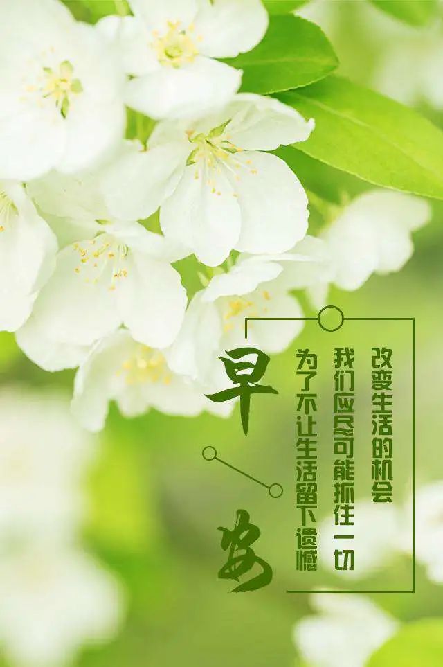 早上发朋友圈激励人心的好句子-句子橘