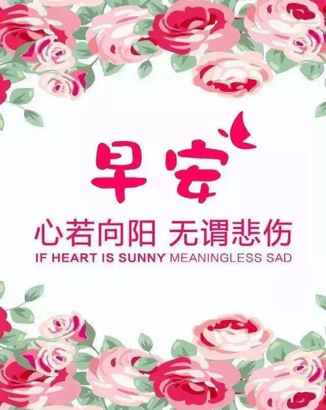 早安正能量语句，2021最新早安心语-句子橘