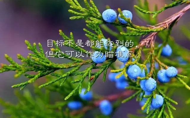 早安正能量语句，2021最新早安心语-句子橘