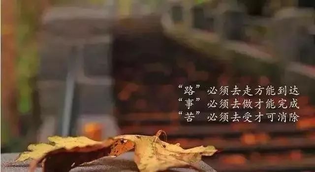 早安正能量语句，2021最新早安心语-句子橘