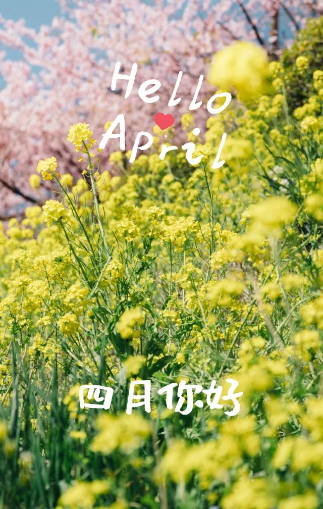 四月你好三月再见早安语录朋友圈正能量句子四月你好早安素材-句子橘