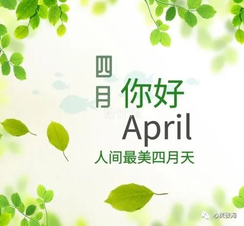 四月句子唯美励志语录-句子橘