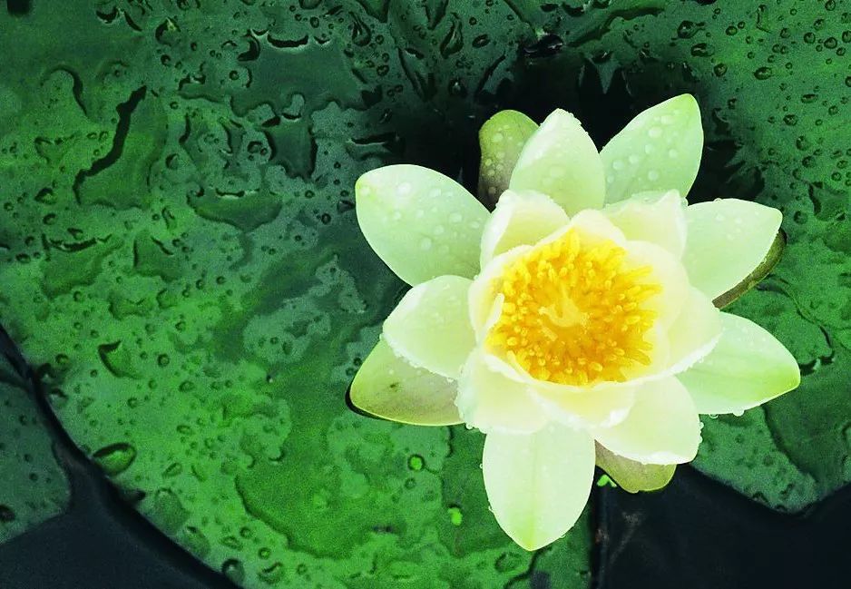 晚安句子:属于自己的,不要放弃;已经失去的,留作回忆-句子橘 晚安句子:属于自己的,不要放弃;已经失去的,留作回忆-句子橘