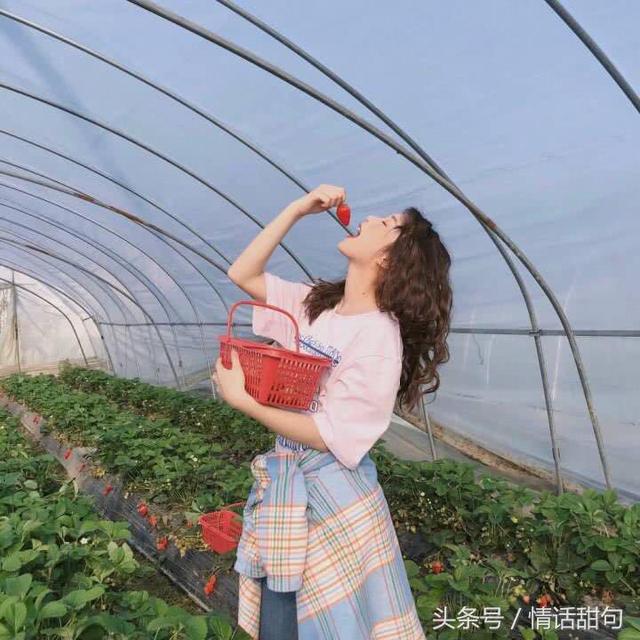最近超火的100句土味情话合集,拿去撩妹撩汉吧