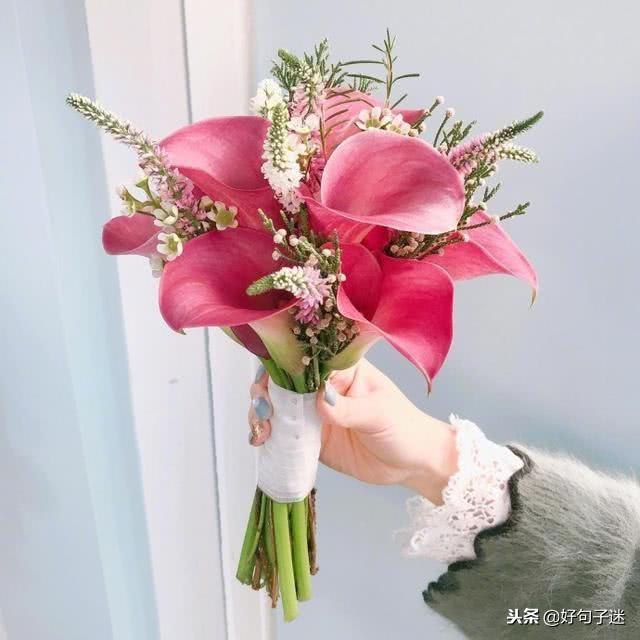 适合发朋友圈最好听的情话,款款深情,甜到让人心醉