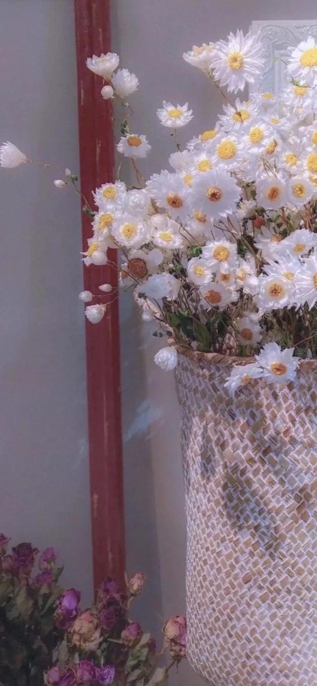 温柔治愈的英文文案