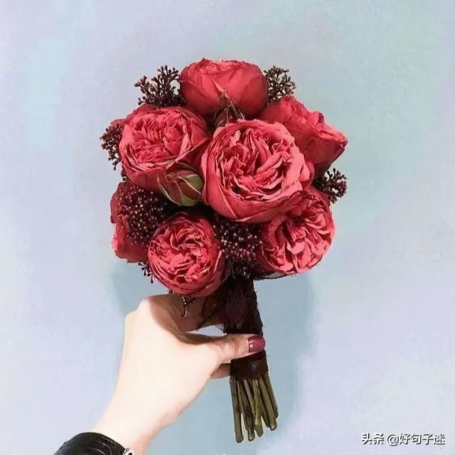 打动人心的爱情句子,让人刻骨铭心