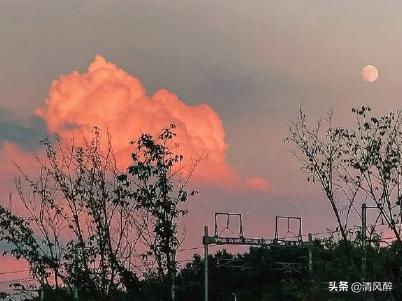 相遇就好好珍惜的爱情说说