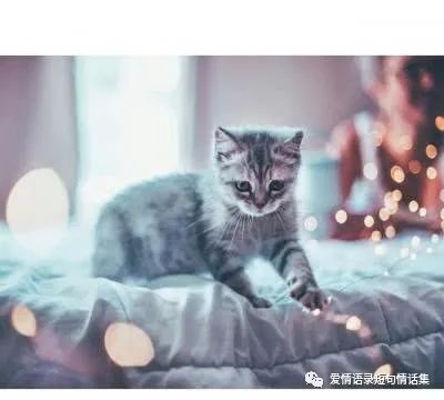 绝望爱情的经典语录对爱情绝望的句子，句句入骨，催人泪下！-句子橘