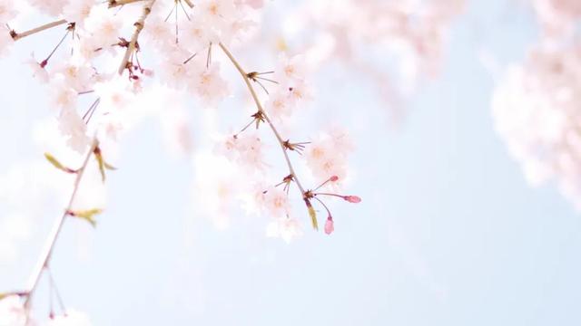 飞花令：上百句含“春”的经典诗词，赶紧为孩子收藏起来