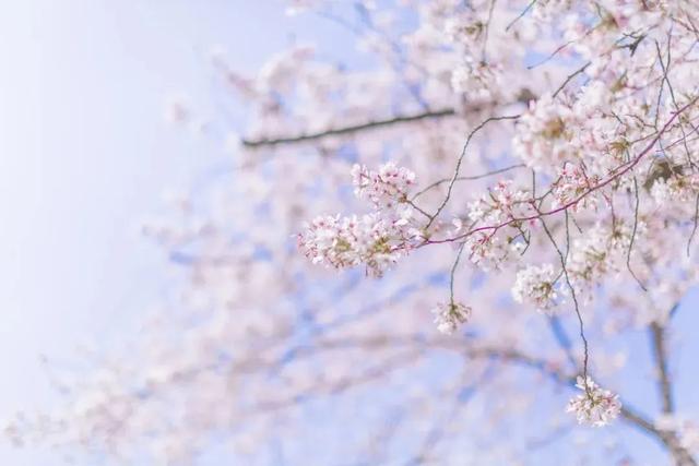 飞花令：上百句含“春”的经典诗词，赶紧为孩子收藏起来