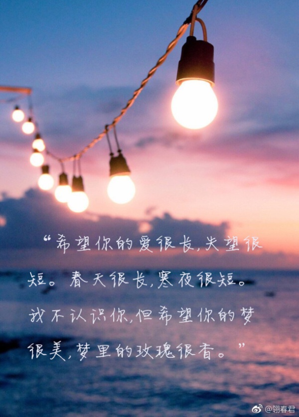 对爱情很失望的句子(爱情全他妈扯淡的句子)