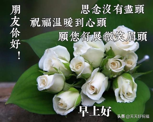 2020清晨早安问候简短语句,发朋友圈最暖心的祝福句子