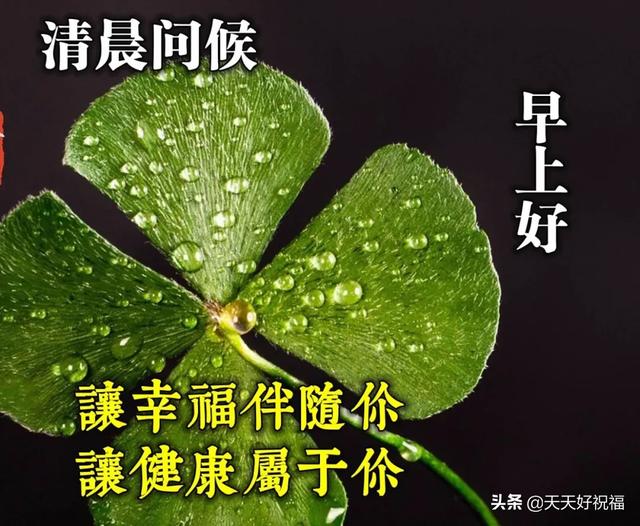 2020清晨早安问候简短语句,发朋友圈最暖心的祝福句子