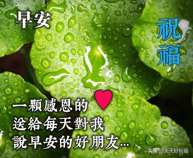 2020清晨早安问候简短语句,发朋友圈最暖心的祝福句子