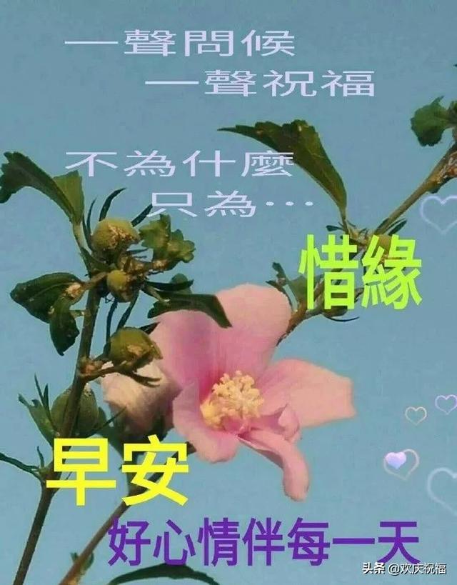 微信群早上好温馨祝福句子,祝福早上好的句子