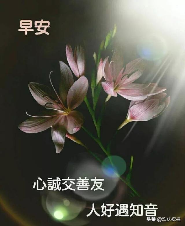 微信群早上好温馨祝福句子,祝福早上好的句子
