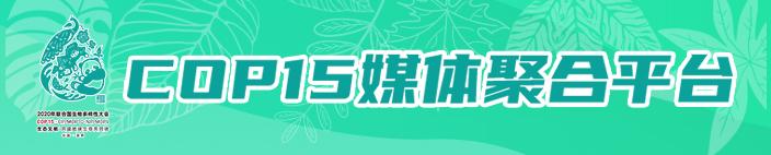 赞美野生菌美食的句子