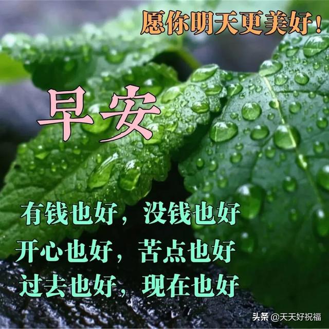 赞美朋友的句子的图片 赞美朋友的句子的图片